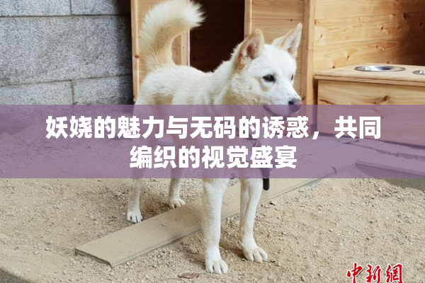 妖娆的魅力与无码的诱惑，共同编织的视觉盛宴