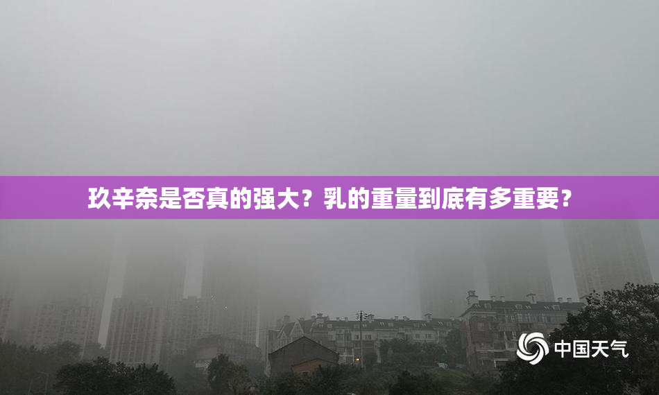 玖辛奈是否真的强大？乳的重量到底有多重要？