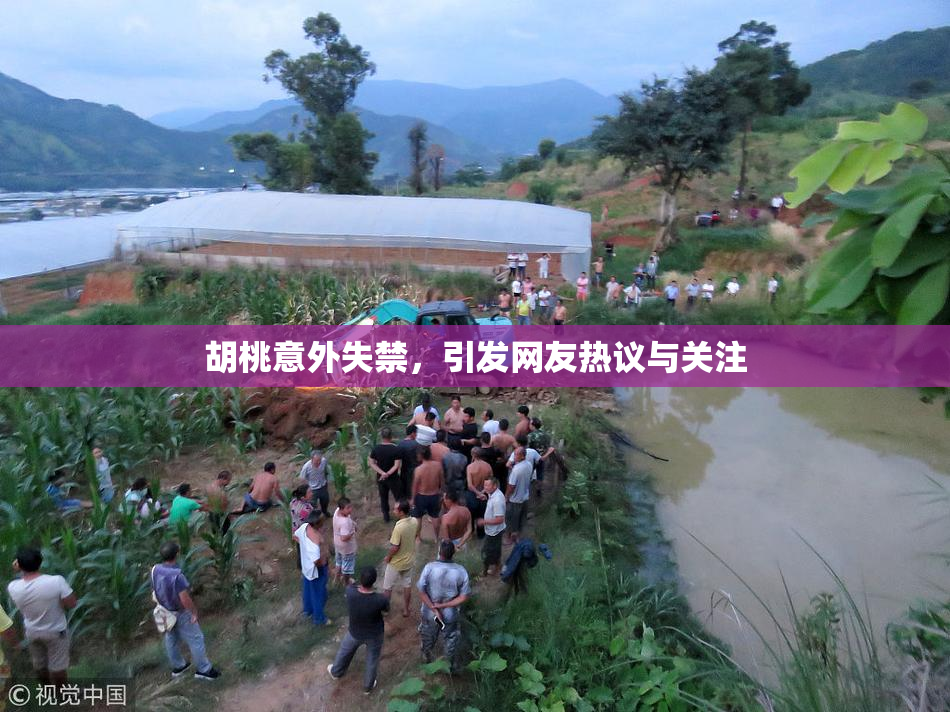 胡桃意外失禁，引发网友热议与关注