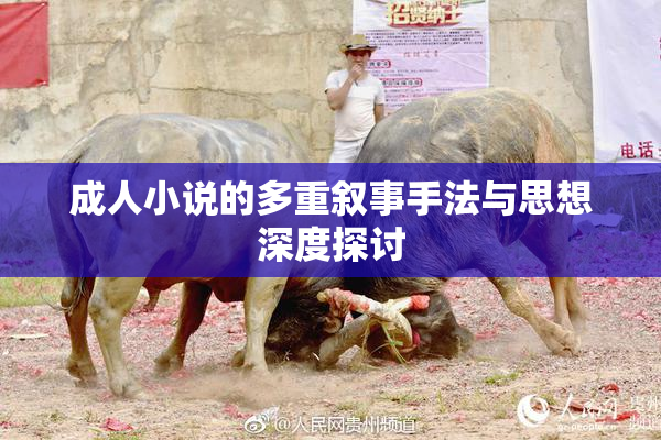 成人小说的多重叙事手法与思想深度探讨