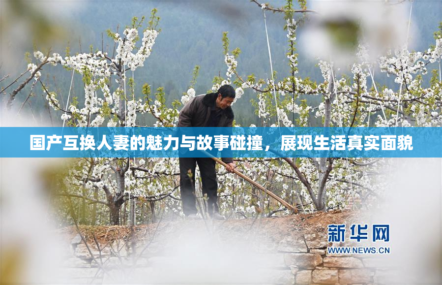 国产互换人妻的魅力与故事碰撞，展现生活真实面貌