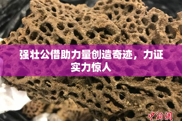 强壮公借助力量创造奇迹，力证实力惊人