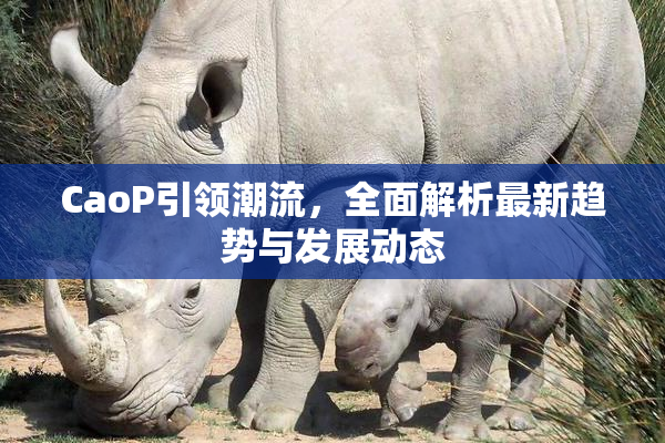 CaoP引领潮流，全面解析最新趋势与发展动态