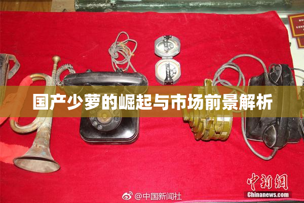 国产少萝的崛起与市场前景解析