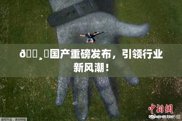 🌸‌国产重磅发布，引领行业新风潮！