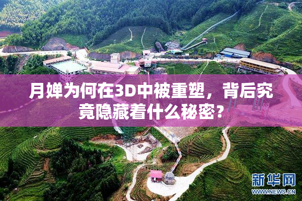 月婵为何在3D中被重塑，背后究竟隐藏着什么秘密？