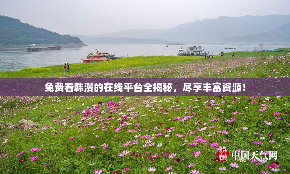 免费看韩漫的在线平台全揭秘，尽享丰富资源！