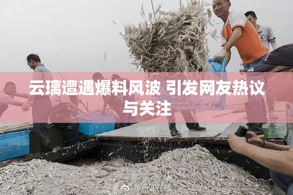 云璃遭遇爆料风波 引发网友热议与关注