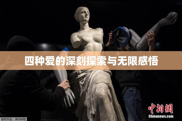 四种爱的深刻探索与无限感悟