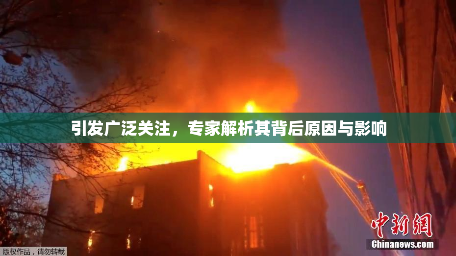 引发广泛关注，专家解析其背后原因与影响