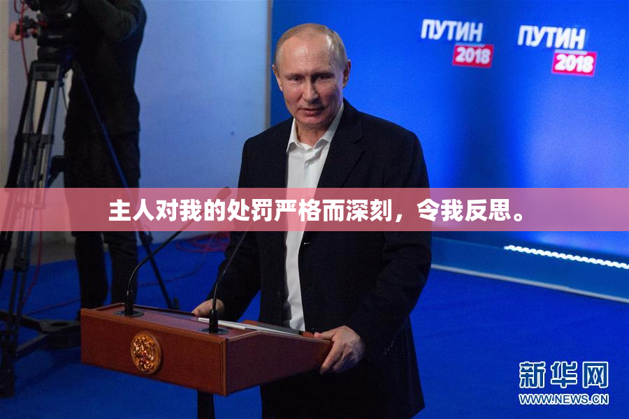主人对我的处罚严格而深刻，令我反思。
