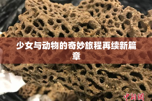 少女与动物的奇妙旅程再续新篇章