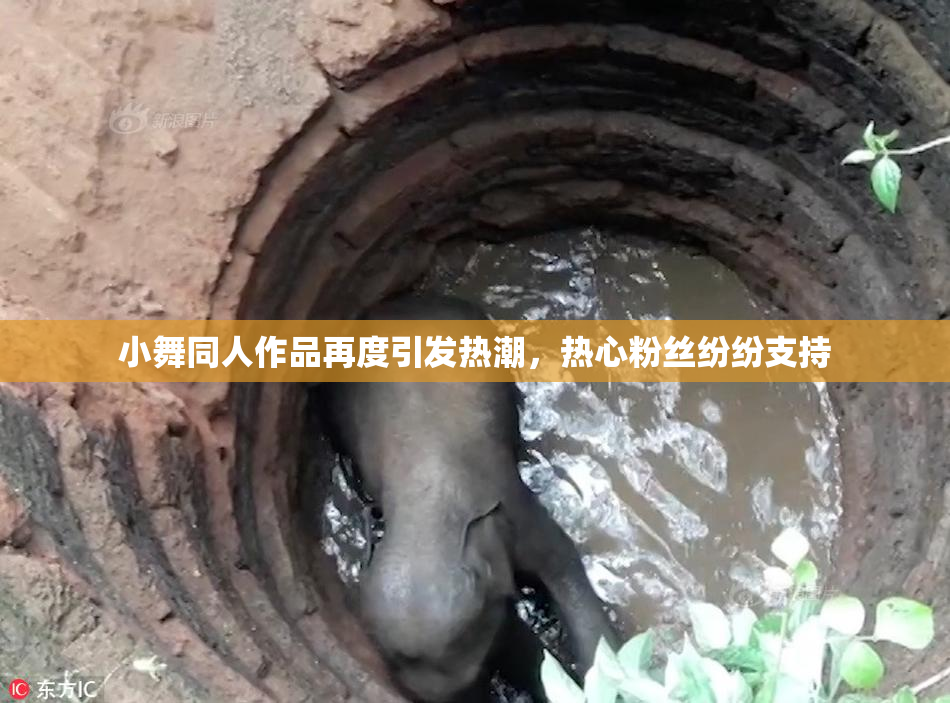 小舞同人作品再度引发热潮，热心粉丝纷纷支持