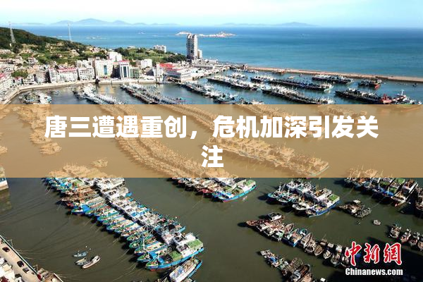 唐三遭遇重创，危机加深引发关注