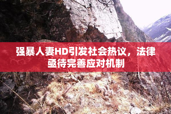 强暴人妻HD引发社会热议，法律亟待完善应对机制