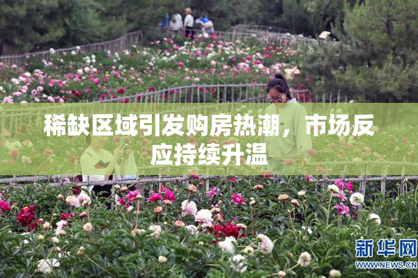 稀缺区域引发购房热潮，市场反应持续升温