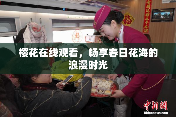 樱花在线观看，畅享春日花海的浪漫时光