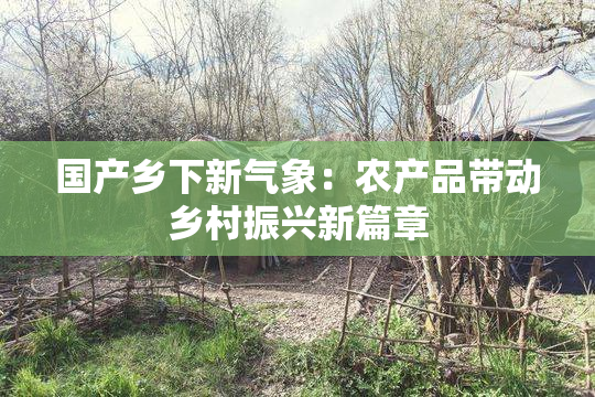 国产乡下新气象：农产品带动乡村振兴新篇章