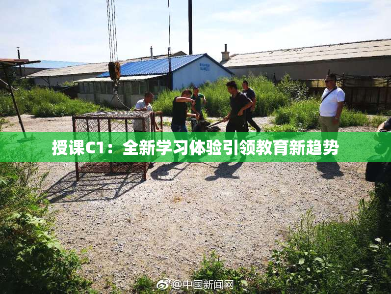 授课C1：全新学习体验引领教育新趋势