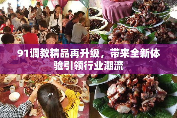 91调教精品再升级，带来全新体验引领行业潮流