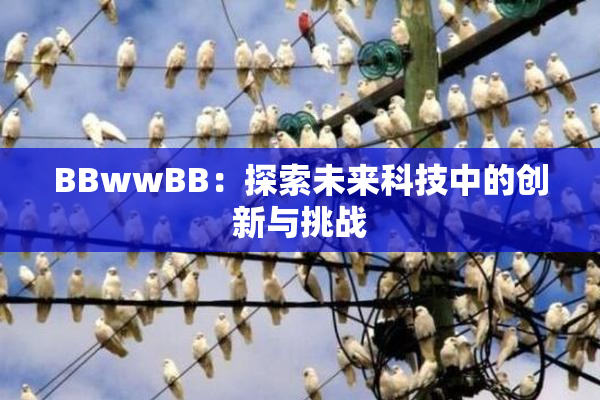 BBwwBB：探索未来科技中的创新与挑战