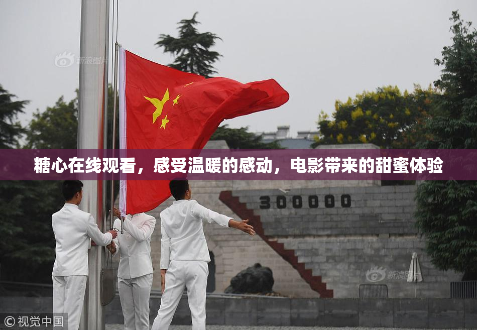 糖心在线观看，感受温暖的感动，电影带来的甜蜜体验