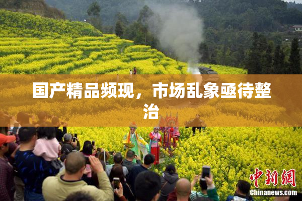 国产精品频现，市场乱象亟待整治