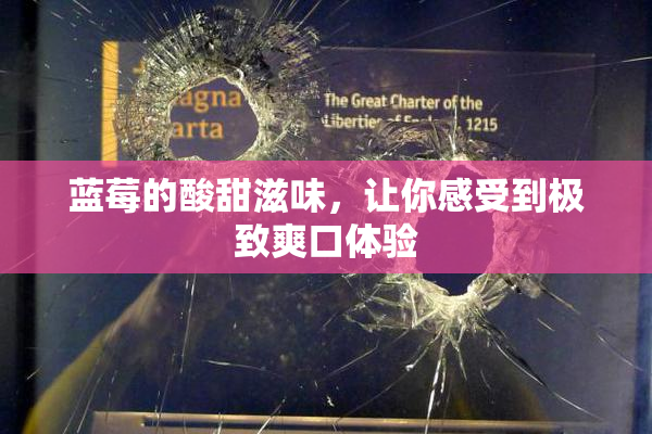 蓝莓的酸甜滋味，让你感受到极致爽口体验