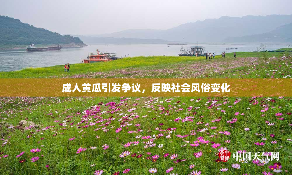 成人黄瓜引发争议，反映社会风俗变化