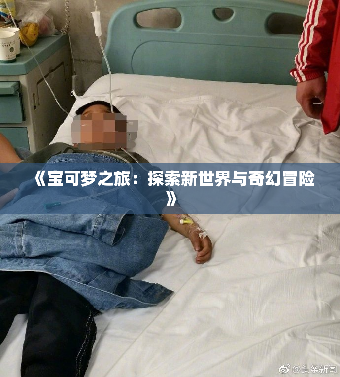《宝可梦之旅：探索新世界与奇幻冒险》
