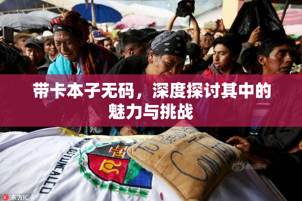 带卡本子无码，深度探讨其中的魅力与挑战