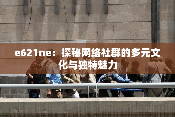 e621ne：探秘网络社群的多元文化与独特魅力
