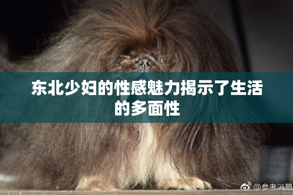 东北少妇的性感魅力揭示了生活的多面性