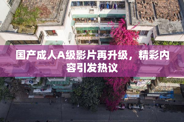 国产成人A级影片再升级，精彩内容引发热议