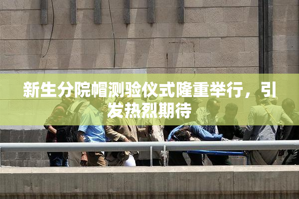 新生分院帽测验仪式隆重举行，引发热烈期待