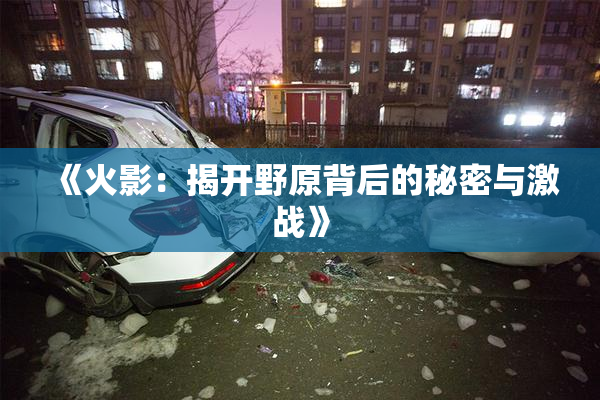 《火影：揭开野原背后的秘密与激战》