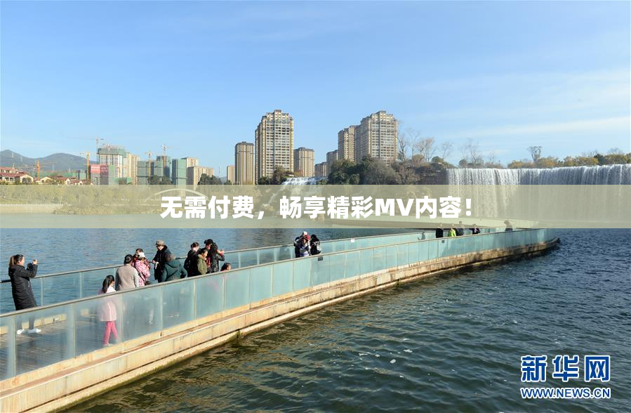 无需付费，畅享精彩MV内容！