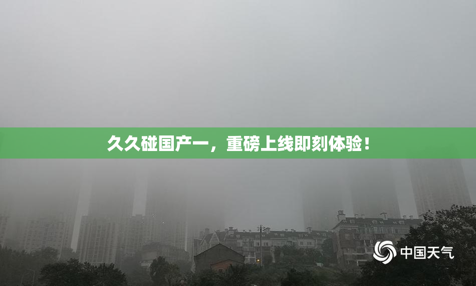 久久碰国产一，重磅上线即刻体验！