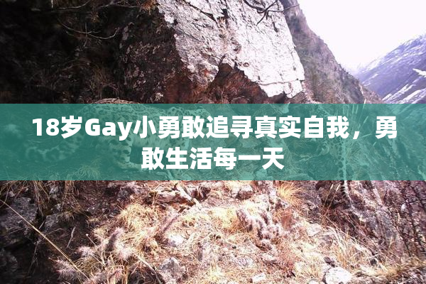 18岁Gay小勇敢追寻真实自我，勇敢生活每一天
