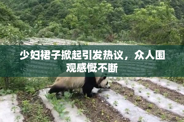 少妇裙子掀起引发热议，众人围观感慨不断