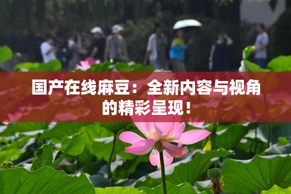 国产在线麻豆：全新内容与视角的精彩呈现！