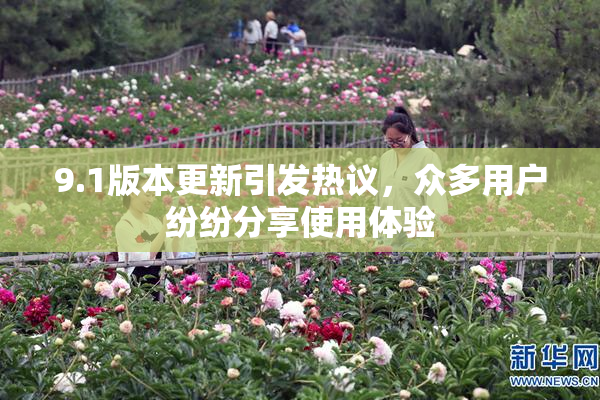 9.1版本更新引发热议，众多用户纷纷分享使用体验