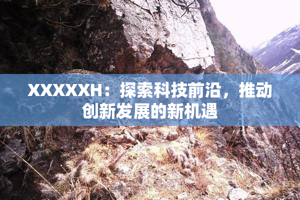 XXXXXH：探索科技前沿，推动创新发展的新机遇