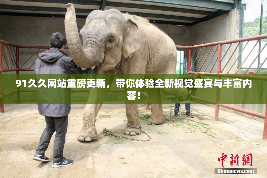 91久久网站重磅更新，带你体验全新视觉盛宴与丰富内容！