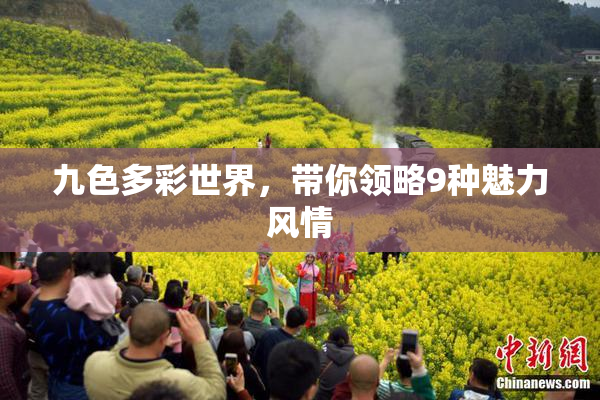 九色多彩世界，带你领略9种魅力风情