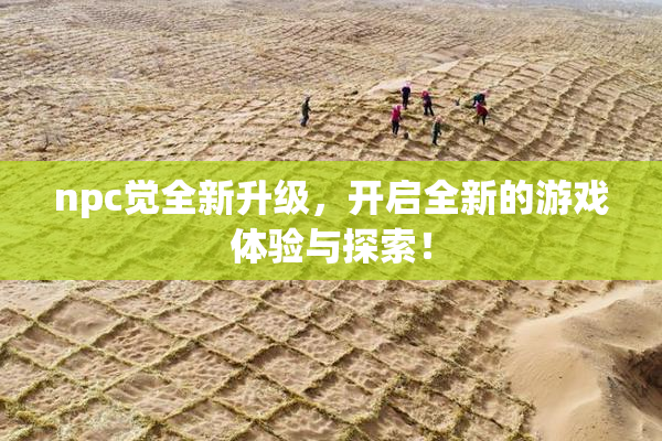 npc觉全新升级，开启全新的游戏体验与探索！