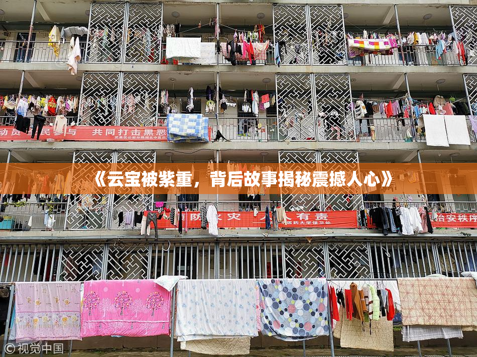 《云宝被紫重，背后故事揭秘震撼人心》
