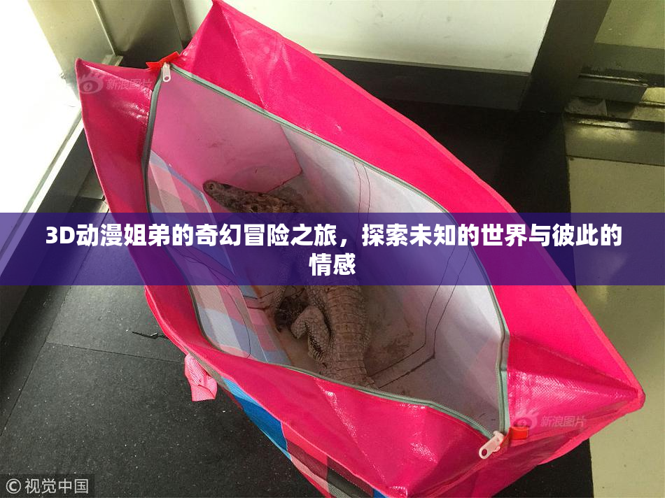 3D动漫姐弟的奇幻冒险之旅，探索未知的世界与彼此的情感