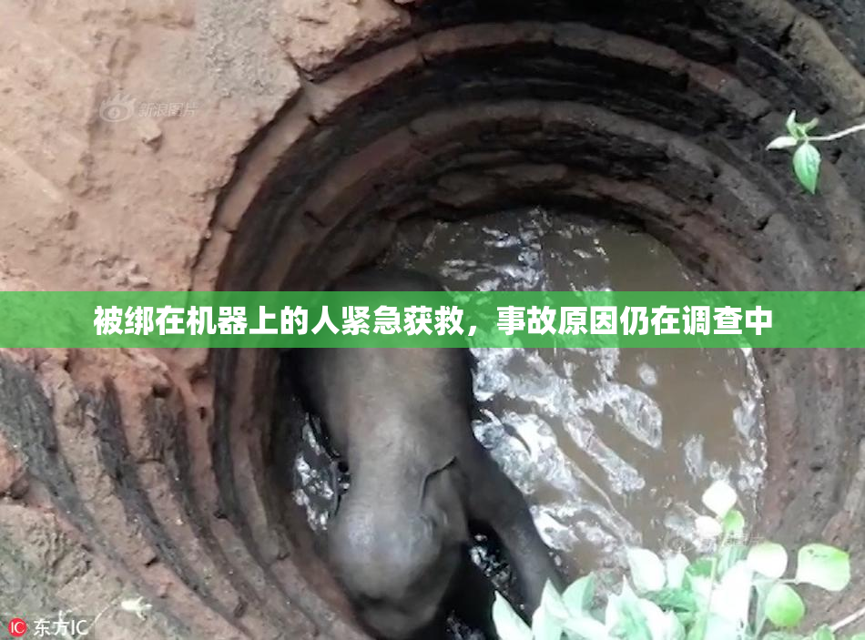 被绑在机器上的人紧急获救，事故原因仍在调查中