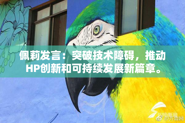 佩莉发言：突破技术障碍，推动HP创新和可持续发展新篇章。